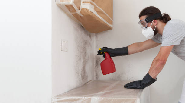 Professional Bathroom Mold Removal technician working in Bellmore, NY