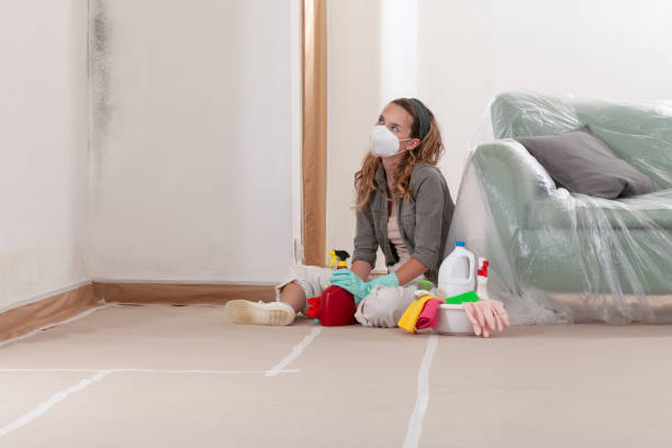 Reliable Bathroom Mold Removal contractor in Bellmore, NY by WQB Mold Removal